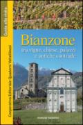 Bianzone. Tra vigne, chiese, palazzi e antiche contrade