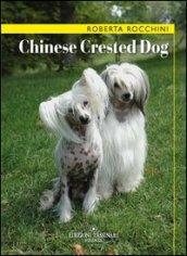 Chinese crested dog