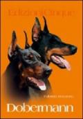 Dobermann