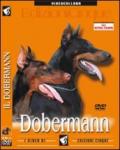 Dobermann (1 dvd)
