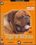 Dogue de Bordeaux (1 dvd)