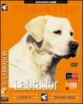 Labrador Retriever (1 dvd)