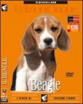Beagle (1 dvd)