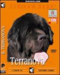 Terranova (1 dvd)
