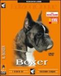 Boxer (1 dvd)
