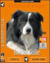 Border Collie (1 dvd)