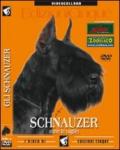 Schnauzer (1 dvd)