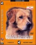 Golden Retriever (1 dvd)