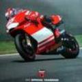 Ducati year book 2003