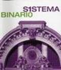 Sistema binario. Catalogo della mostra (Napoli, 6 maggio-3 giugno 2008). Ediz. italiana e inglese