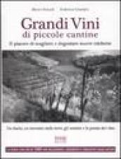 Grandi vini di piccole cantine. Il piacere di scegliere e degustare nuove etichette