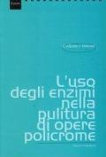 L'uso degli enzimi nella pulitura di opere policrome