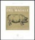 Fenomenologia del maiale