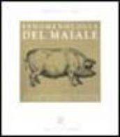 Fenomenologia del maiale