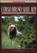 L'orso bruno sulle Alpi