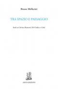 Tra spazio e paesaggio. Studi su Calvino, Biamonti, Del Giudice e Celati