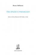 Tra spazio e paesaggio. Studi su Calvino, Biamonti, Del Giudice e Celati