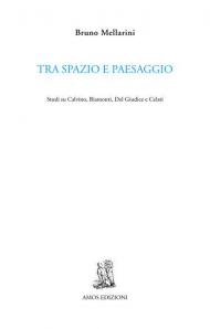 Tra spazio e paesaggio. Studi su Calvino, Biamonti, Del Giudice e Celati