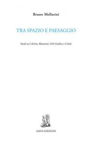 Tra spazio e paesaggio. Studi su Calvino, Biamonti, Del Giudice e Celati