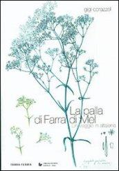 La palla di Farra di Mel