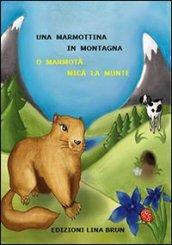 Una marmottina in montagna / O marmota mica la munte