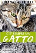 C'è sempre un gatto. Dodici gatti unici con finale a sorpresa