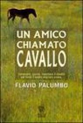 Un amico chiamato cavallo