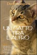 Un gatto tira l'altro