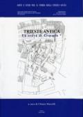 Trieste antica. Lo scavo di Crosada. Ediz. illustrata