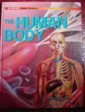 Human Body. Blow up! Junior