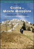 Ciceria e Monte Maggiore. L'Istria bianca dalla Carsia al Quarnero. Itinerari, natura e storia tra i monti della Vena e i monti Caldiera...
