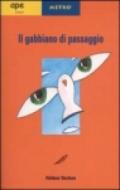 Il gabbiano di passaggio