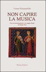 Non capire la musica