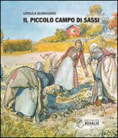 Il piccolo campo di sassi