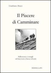 Il piacere di camminare. Riflessioni e consigli sul muoversi a bassa velocità