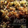 Veneto, we others and wine