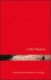 Il bel pastore. Riflessioni sul vangelo