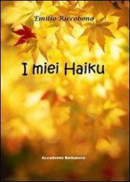 I miei Haiku