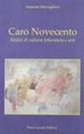 Caro Novecento. Sintesi di cultura, letteratura, arte