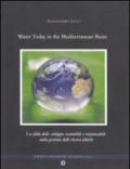 Water today in the Mediterranean basin. La sfida dello sviluppo sostenibile e responsabile nella gestione delle risorse idriche