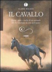 Il cavallo. Storia, mito e realtà di un animale che ha cambiato la vita dell'uomo