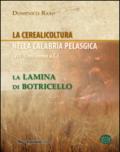 La cerealicoltura nella Calabria pelasgica (VIII-II millennio a.C.). La lamina di Botricello
