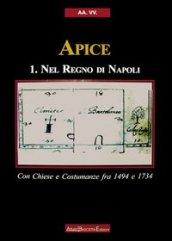 Apice nel Regno di Napoli. Con chiese e costumanze fra 1494 e 1734