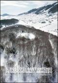 Il bosco di Sant'Antonio. Pescocostanzo, Abruzzo. Premio internazionale Carlo Scarpa per il Giardino 2012