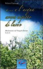 «... E l'acqua aveva aspetto di luce». Meditazioni sul vangelo festivo, ciclo A