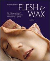 FLESH & WAX. THE CLEMENTE SUSINI'S ANATOMICAL MODELS IN THE UNIVERSITY OF