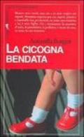 La cicogna bendata