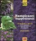 Rampicanti e tappezzanti. Ediz. illustrata