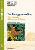 Tra Baraggia e collina. Flora e farfalle del territorio di Roasio