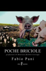 Poche briciole